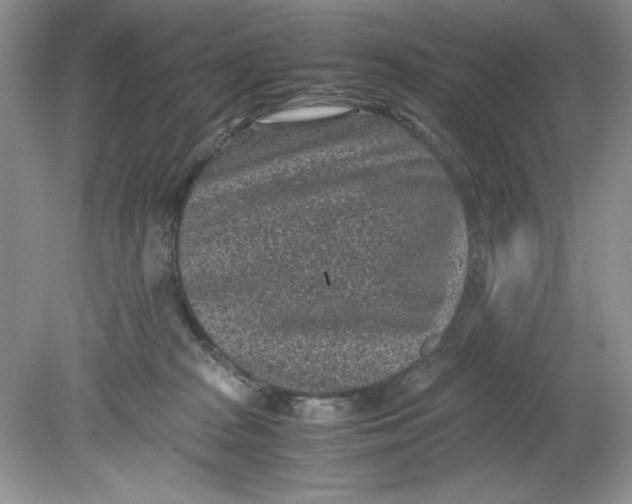 X0000078880277200612042032