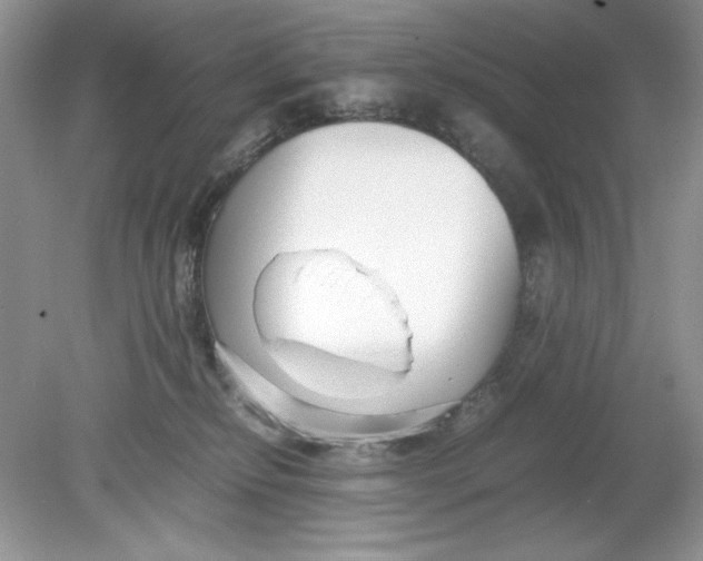 X0000078880278200612042032