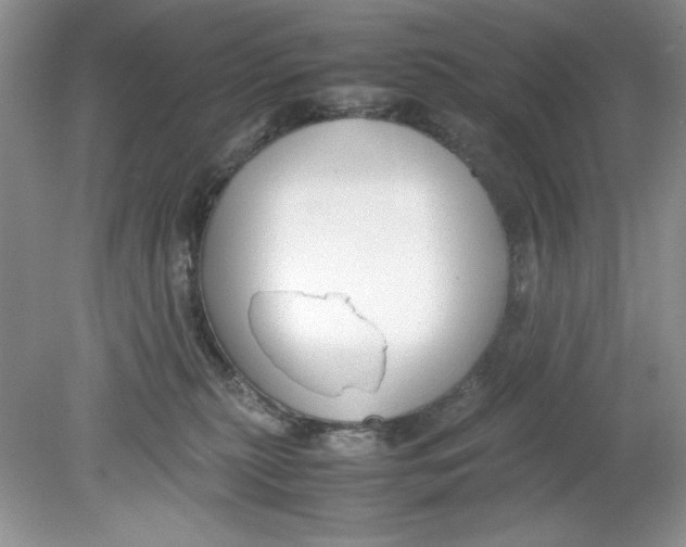 X0000078880279200612042032