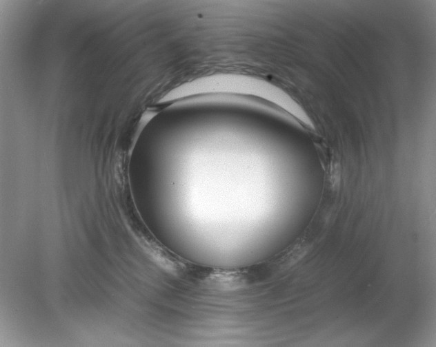 X0000078880280200612042032