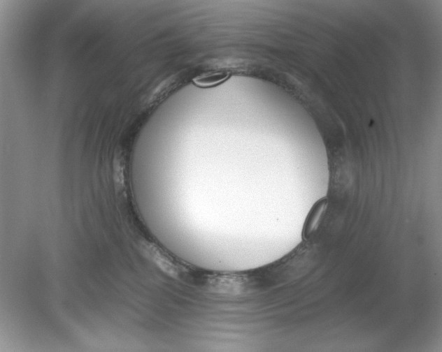 X0000078880282200612042032