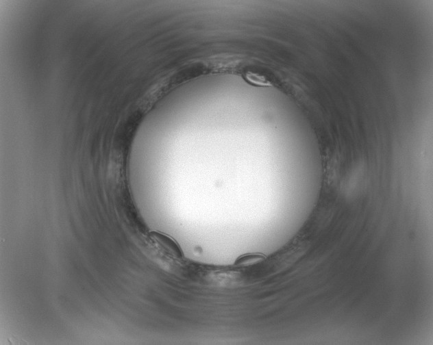 X0000078880283200612042032