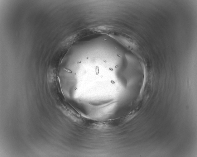 X0000078880284200612042032