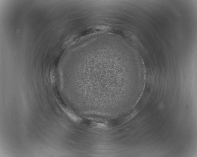 X0000078880285200612042032