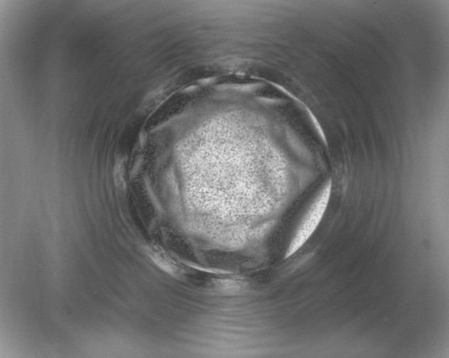 X0000078880286200612042032