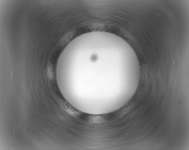 X0000078880287200612042032