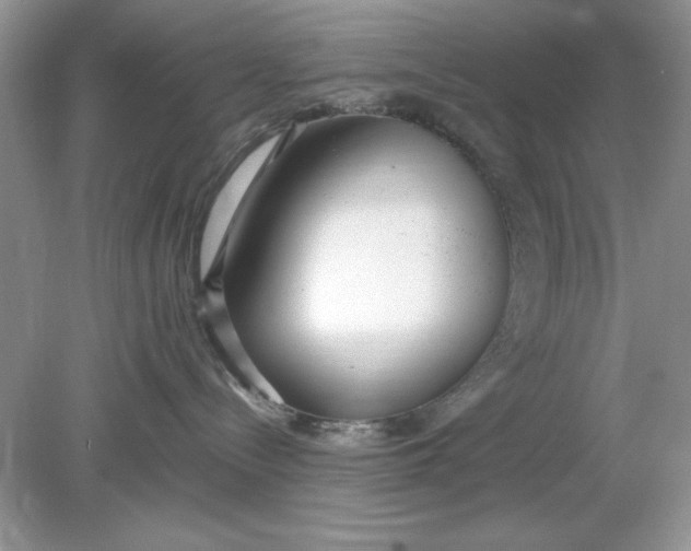 X0000078880288200612042032