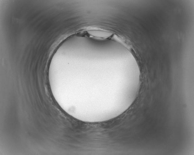 X0000078880289200612042031