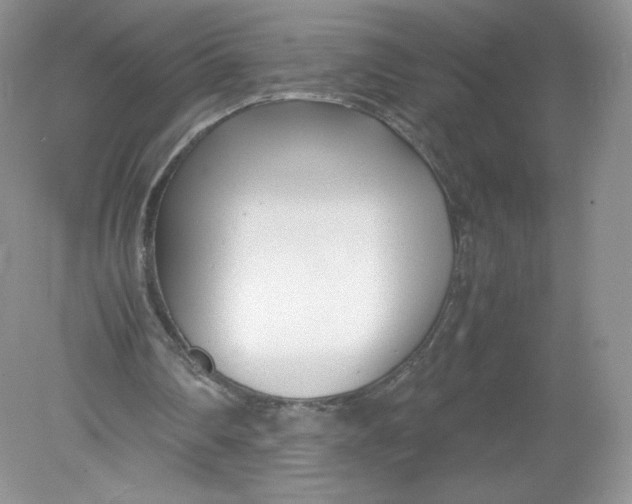 X0000078880290200612042031