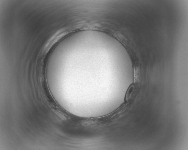 X0000078880291200612042031