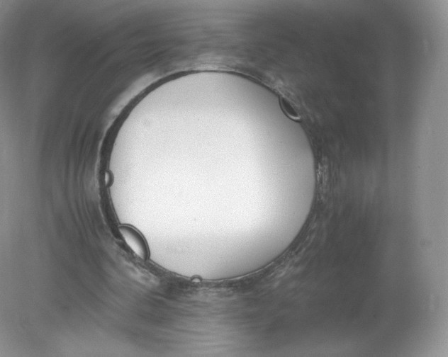 X0000078880292200612042031