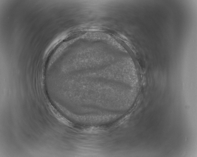 X0000078880293200612042031