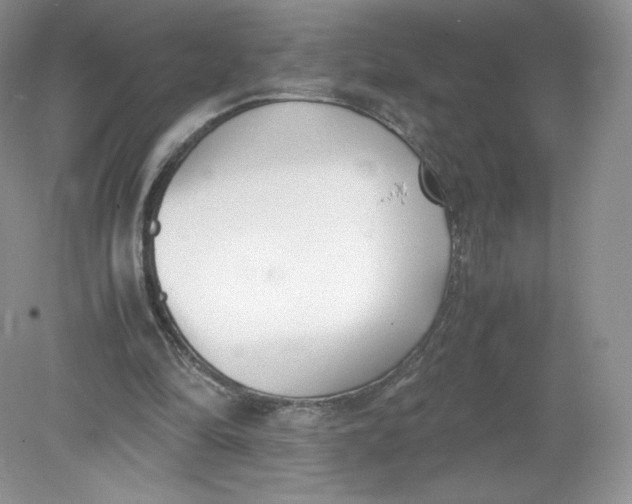 X0000078880294200612042031