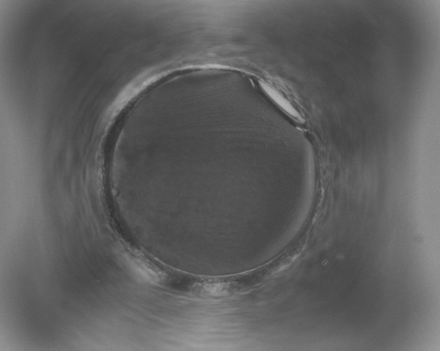 X0000078880295200612042031