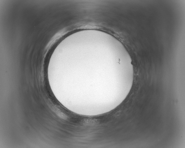 X0000078880296200612042031