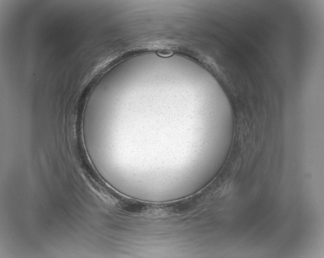 X0000078880299200612042031