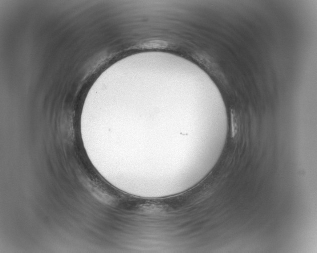 X0000078880300200612042031