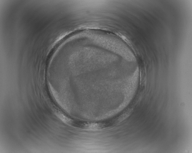 X0000078880301200612042031