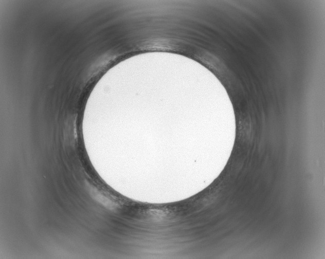 X0000078880302200612042031