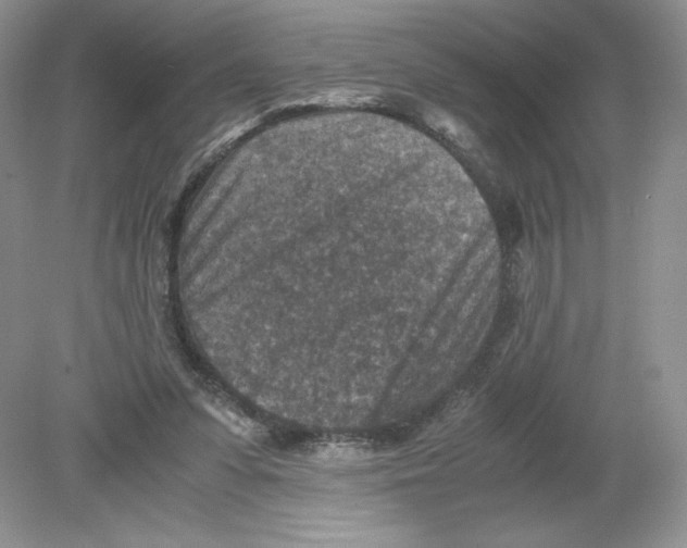 X0000078880303200612042031