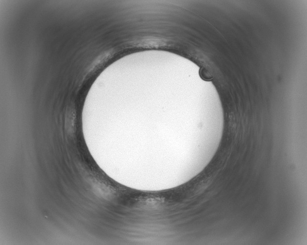 X0000078880304200612042031