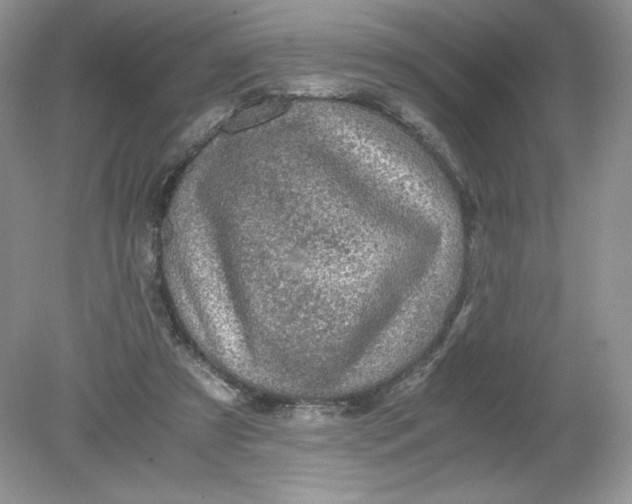 X0000078880305200612042031