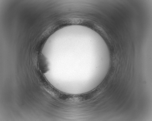 X0000078880307200612042031