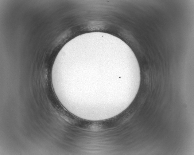 X0000078880308200612042031