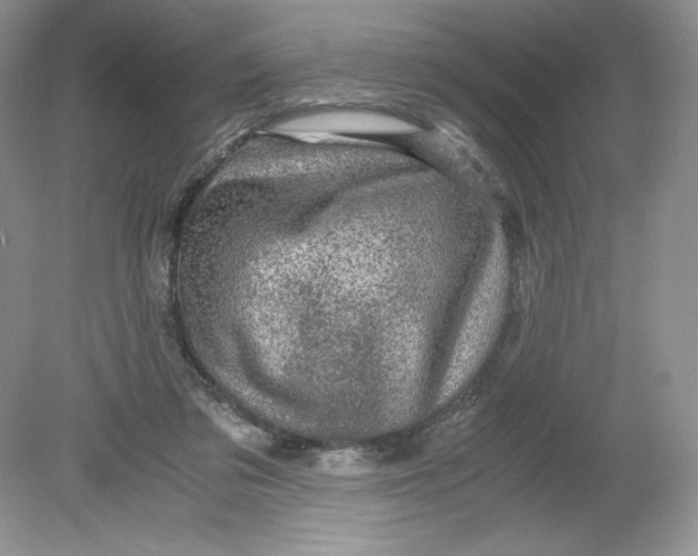 X0000078880309200612042031