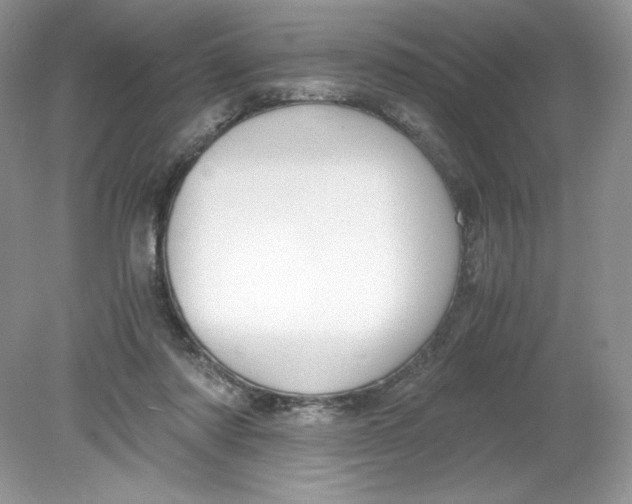 X0000078880310200612042031