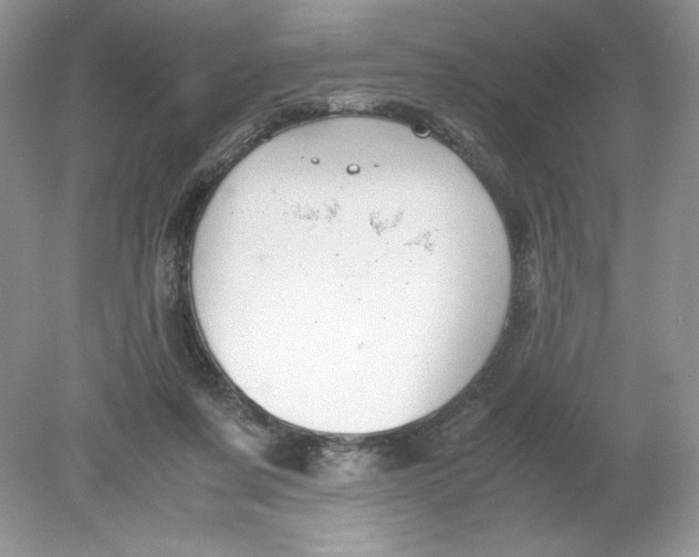 X0000078880311200612042031