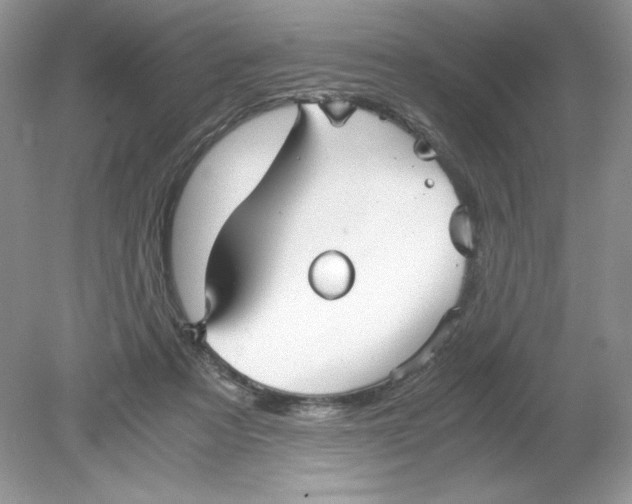 X0000078880313200612042031