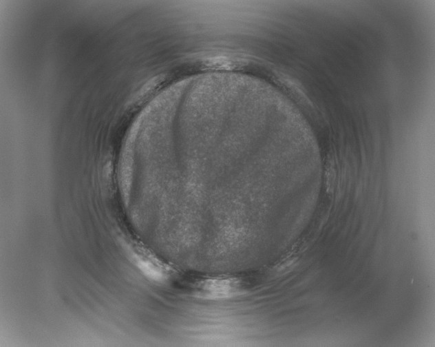 X0000078880314200612042031