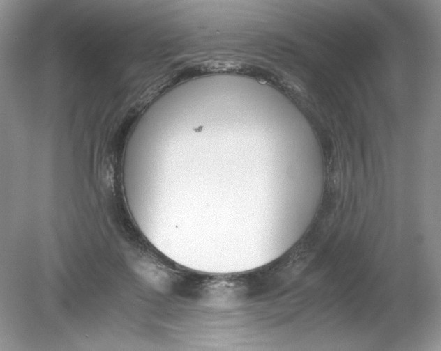 X0000078880315200612042031