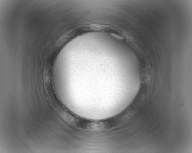 X0000078880317200612042031