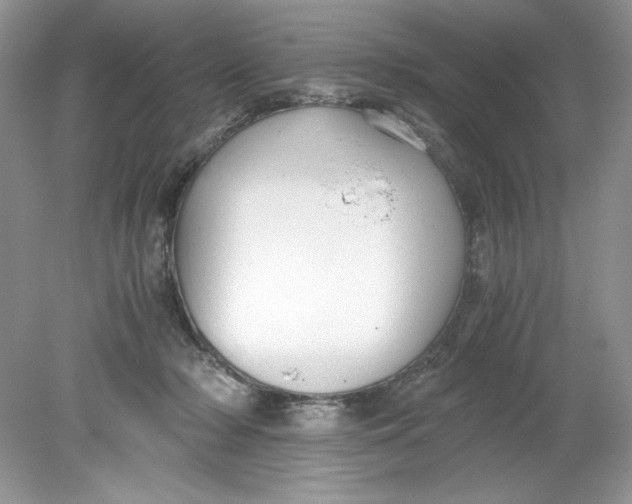 X0000078880318200612042031