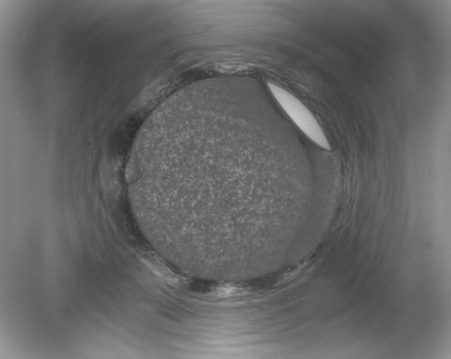 X0000078880319200612042031