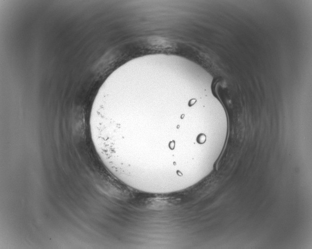 X0000078880320200612042031