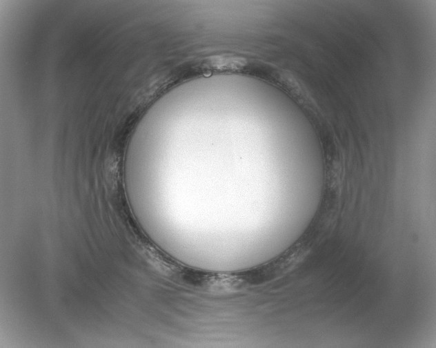 X0000078880321200612042031