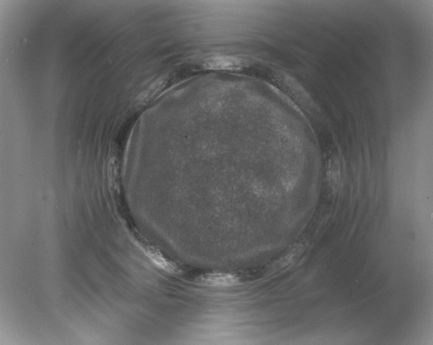 X0000078880322200612042031