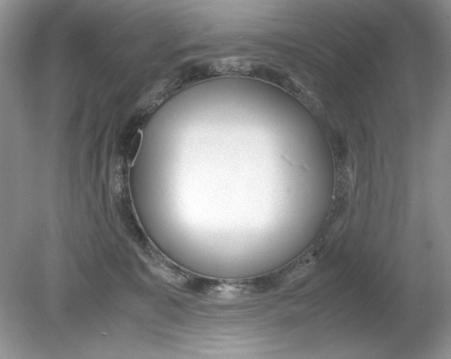 X0000078880323200612042031