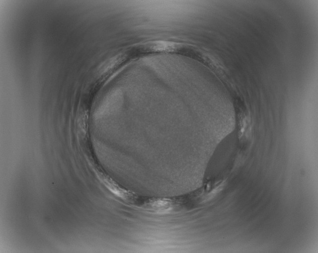 X0000078880325200612042031