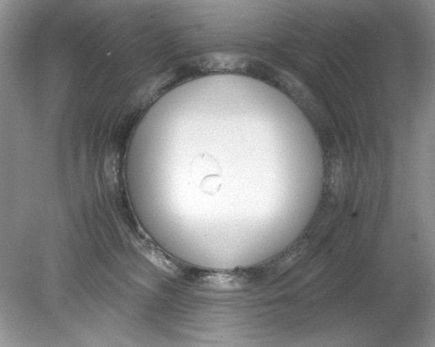 X0000078880326200612042031