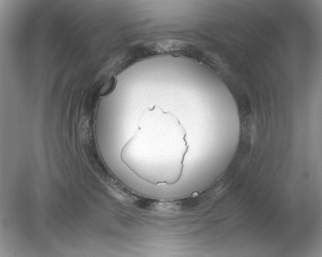 X0000078880327200612042031