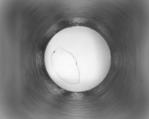 X0000078880328200612042031