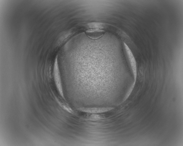 X0000078880330200612042031