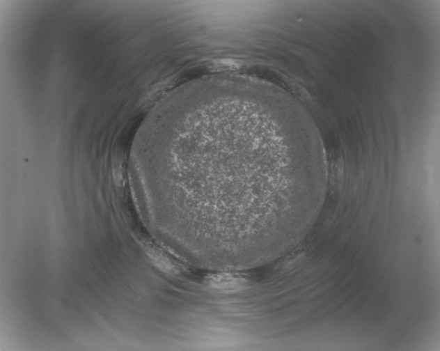 X0000078880331200612042031