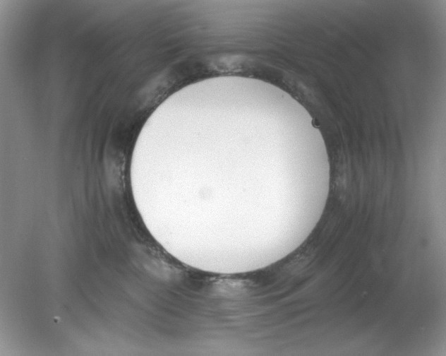 X0000078880332200612042031