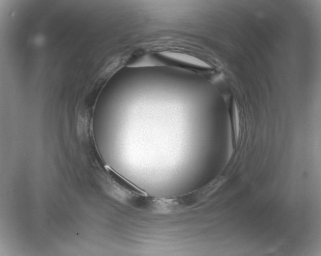 X0000078880333200612042031