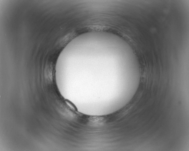 X0000078880334200612042031